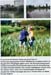 entretienespverts200504048