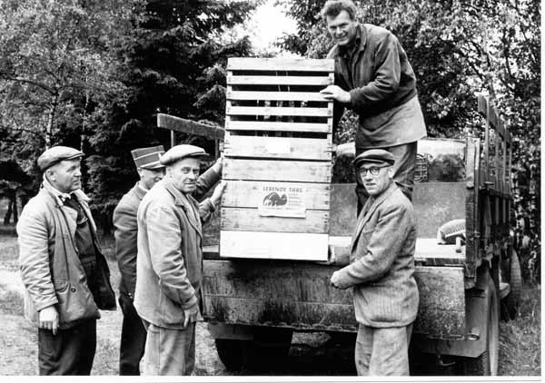 Arrivee animaux 1962 14