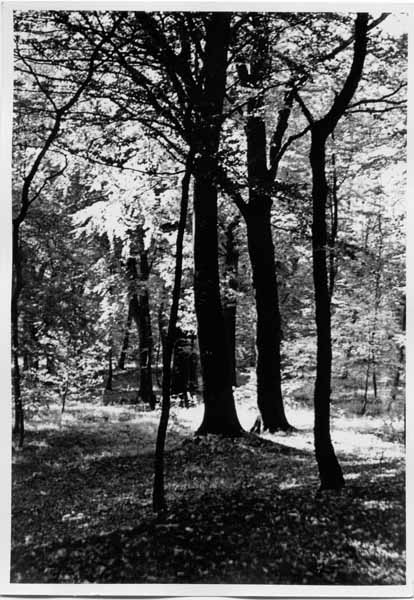 Galgenberg 1962 01 cp