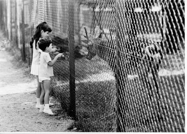 Tiergehege 1963 09