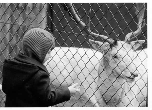 Tiergehege 1980 01