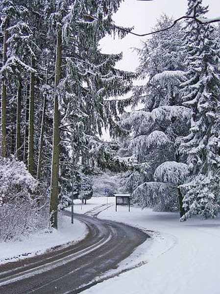 galgenberg2003 (25)
