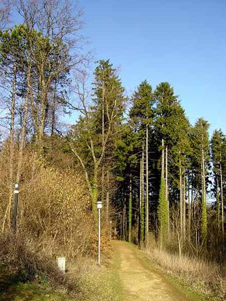 galgenberg2003 (30)