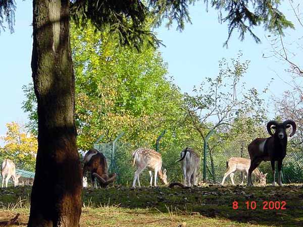 galgenberg2003 (40)
