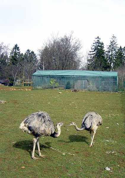galgenberg2003 (48)