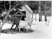 Tiergehege 1963 04