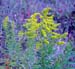 galgenberg2003 (19)