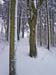galgenberg2003 (26)