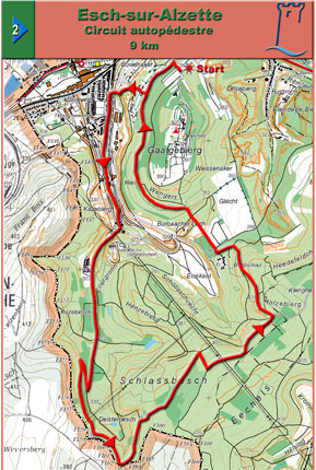 circuit_autopedestre2