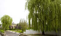 20080529coimbra088