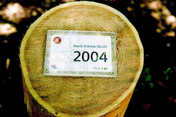 Konscht am Besch 2004 06 024