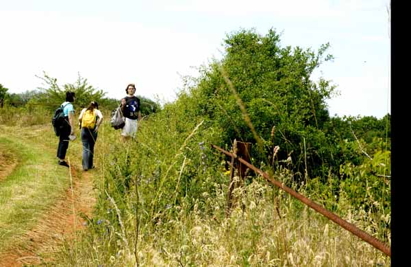 Konscht am Besch 2004 06 033