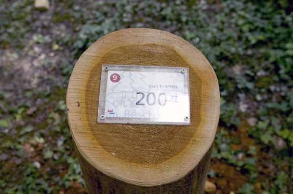 Konscht am Besch 2004 06 039