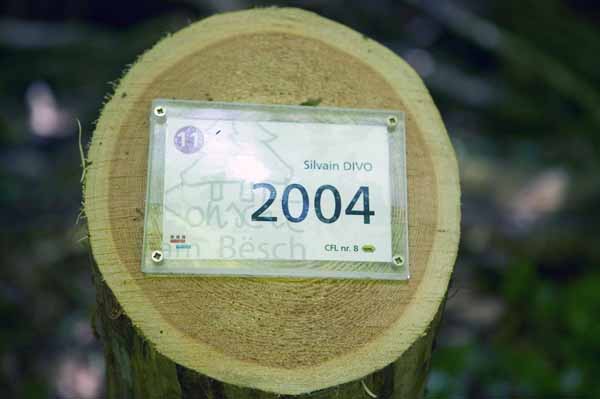 Konscht am Besch 2004 06 046