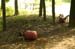 Konscht am Besch 2004 06 016