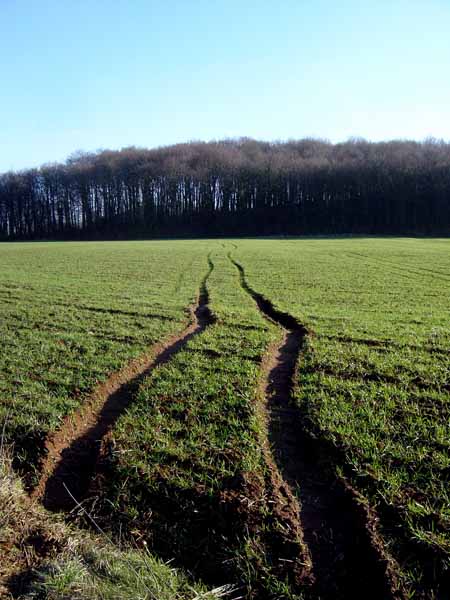 Auf Besing 2004 001