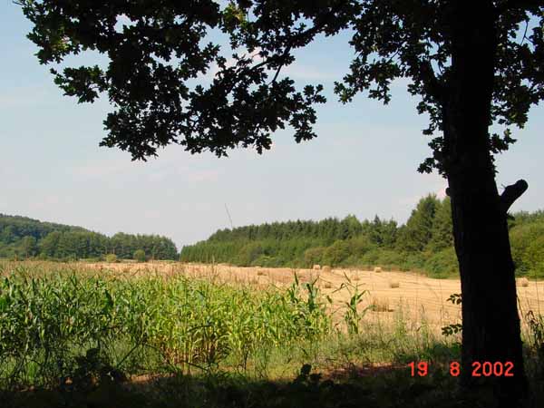Auf der Gleicht 2002 08 004