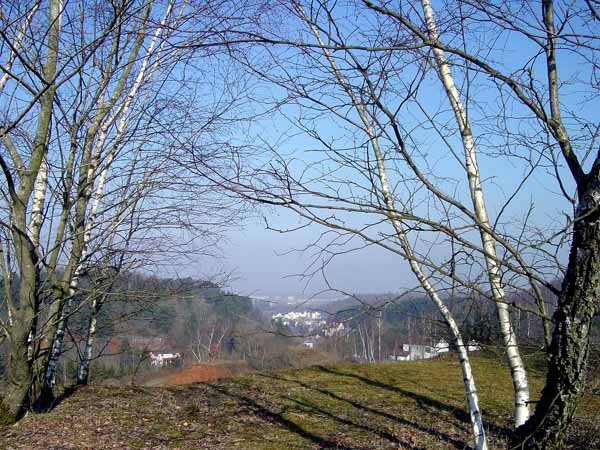Im Holzemesgrund 2004 03 001