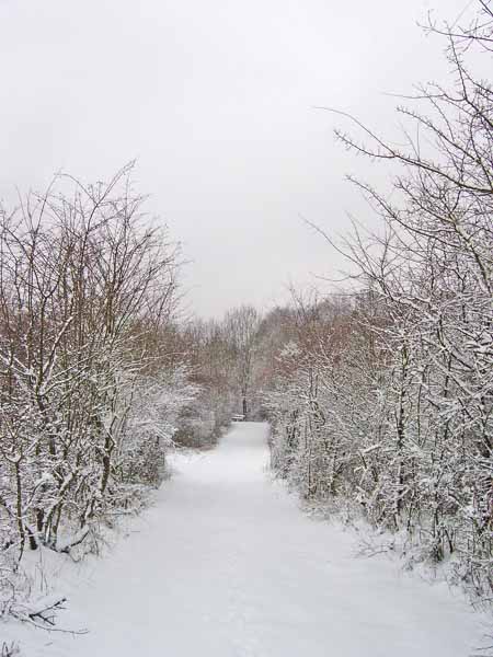 Schoessergroendchen 2004 003