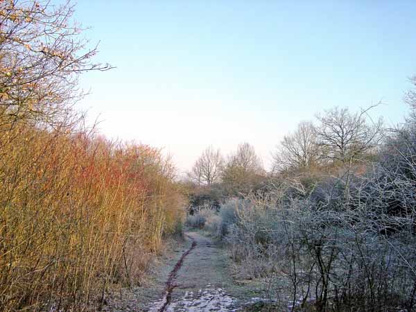haedefeldchen 2004 03 001