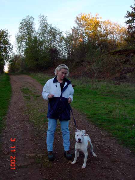 heidenfeldchen 2001 11 001 staffordshire