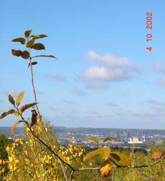 lallengerbierg 09