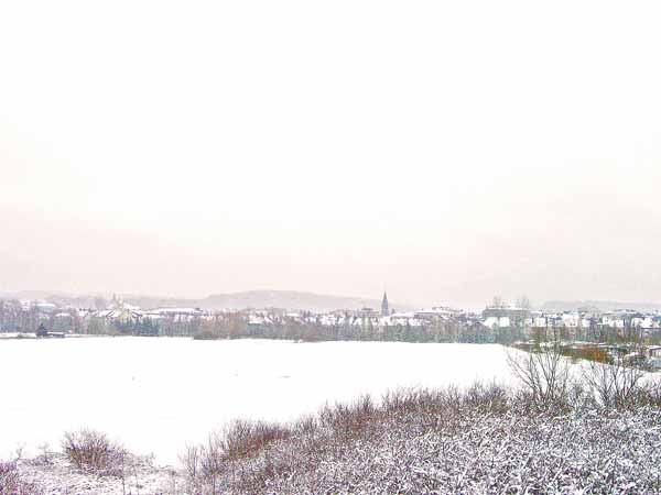 zaepert, nonnewisen 2004 001