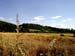Auf Besing 2003 003