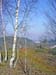 Auf elendigem Berg 2004 03 004