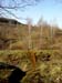 Im Elterngruendchen 2004 02 001