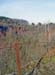 im schlammfeld 2004 02 006