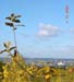 lallengerbierg 09