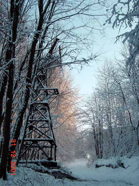 Auf dem Heinzenberg 2001 12 002