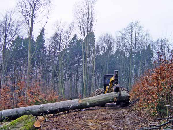 Auf dem Heinzenberg 2004 02 002