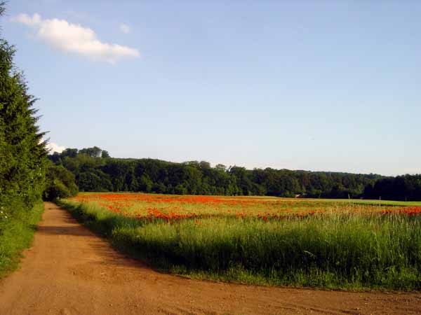 Auf der Gleicht 2003 003