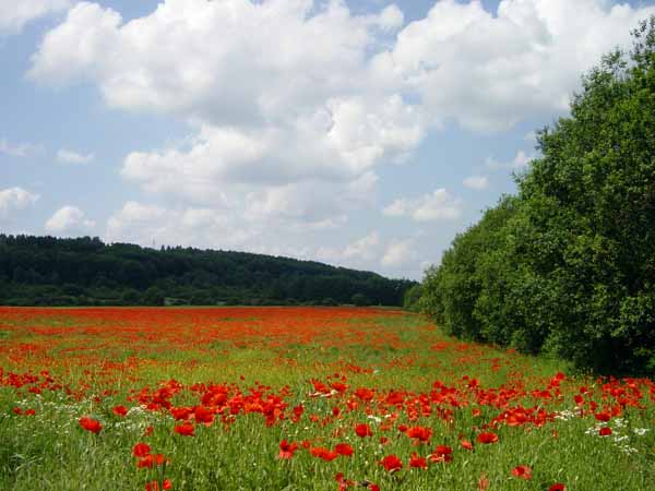 Auf der Gleicht 2003 004