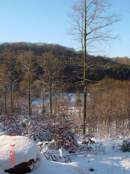 Fockendriesch 01
