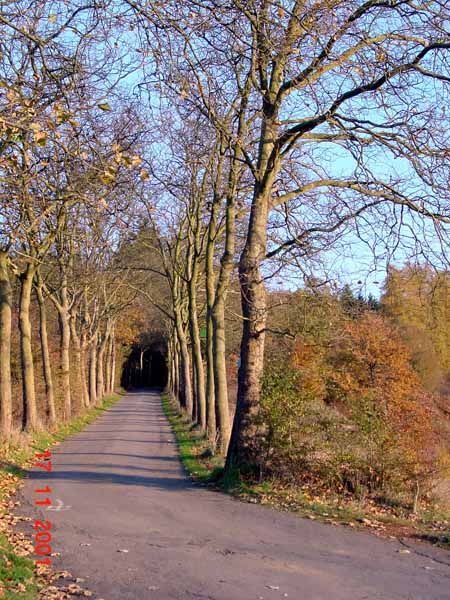 Holzemberg 01