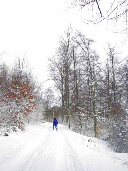 Holzemberg 2004 002