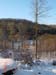 Fockendriesch 01