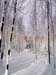 Holzemberg 2004 001
