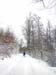 Holzemberg 2004 002