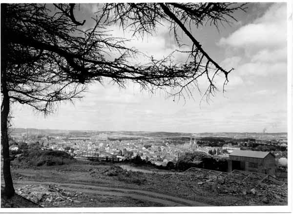 Esch 016