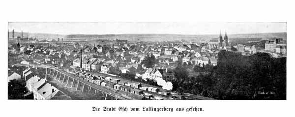 Esch 026