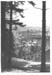 Esch 020