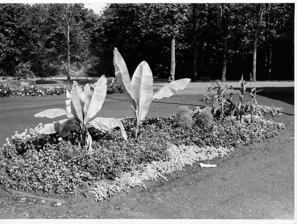 Jardins Educatifs 1963 20