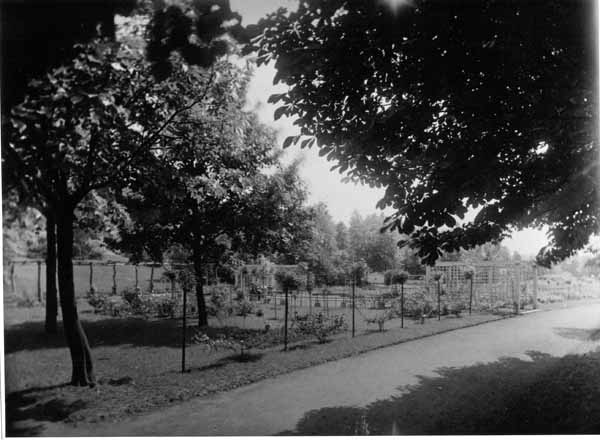 Parc de la Ville 08