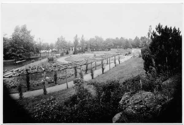 Roseraie 1936 02
