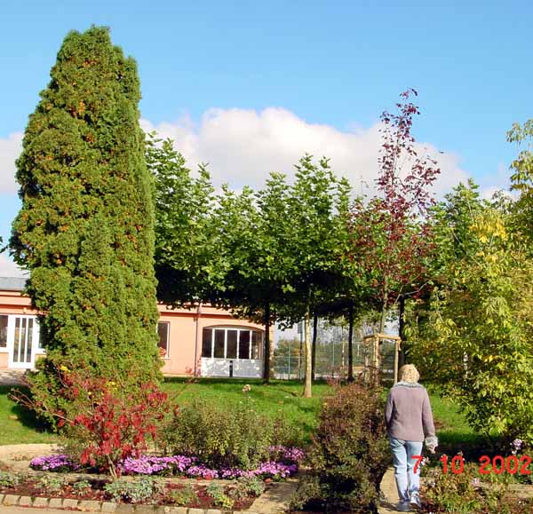parc_de_la_ville2003 (27)