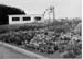 Jardins Educatifs 1963 16